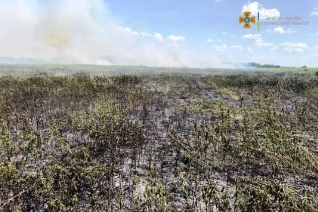 На Волині горить 1,3 гектара торфовищ