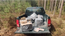 Не встигли забрати: в лісі на Волині знайшли контрабандні ліки (фото)