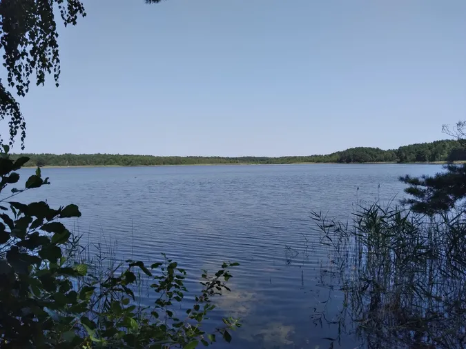 Заховалось серед соснового лісу: показали світлини мальовничого озера Згоранське (фото)