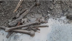 В Челябінську знайшли братську могилу жертв сталінських репресій (фото)