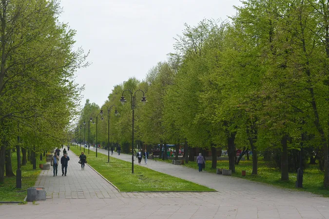 У центральному парку Луцька хочуть провести водопровід 