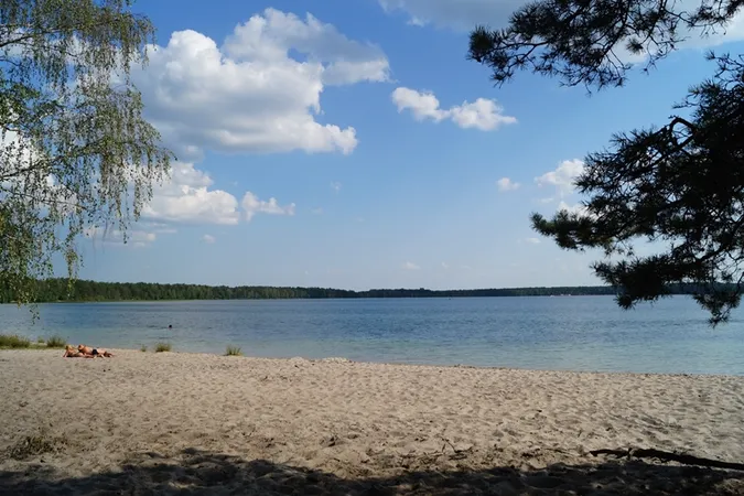 План розвитку пляжу біля Світязя винесли на громадське обговорення