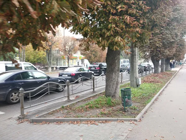 Луцьк стоїть у заторах: ремонтують дорогу (фото, відео)