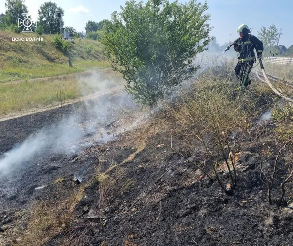 На Волині від удару блискавки загорілася хата (фото)