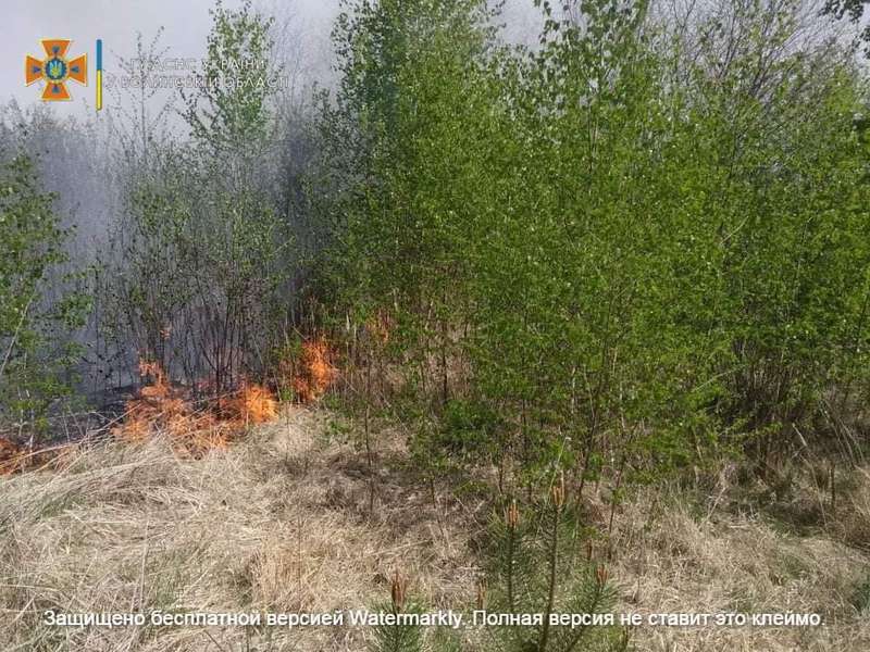 За день – три пожежі: рятувальники закликають волинян не палити траву (фото)