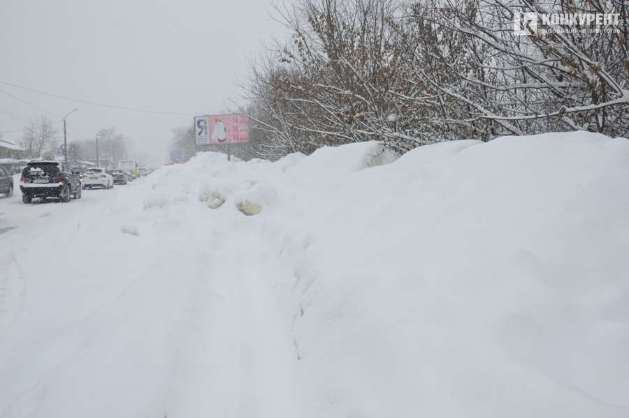 Луцькі гори: як виглядає місце останнього спочинку міського снігу (фото)