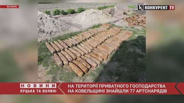 На території приватного господарства на Ковельщині знайшли 77 артснарядів (фото, відео)