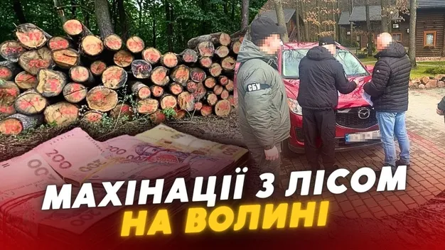 Очільник нацпарку на Волині та підприємець організували рубки цінних порід дерев для експорту в ЄС (фото, відео)