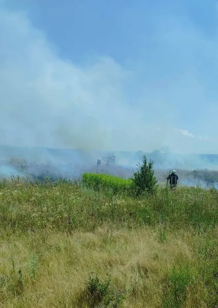 На Волині горіла трава, паліїв шукає поліція (фото)