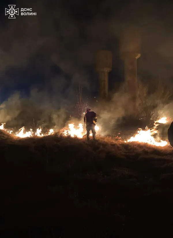 На Волині за добу згоріли майже 5 гектарів чагарників (фото)