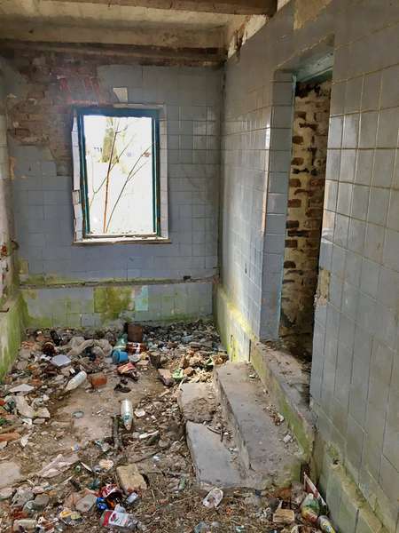 У Голобах панський маєток перетворили на сміттєзвалище із матюками на стінах