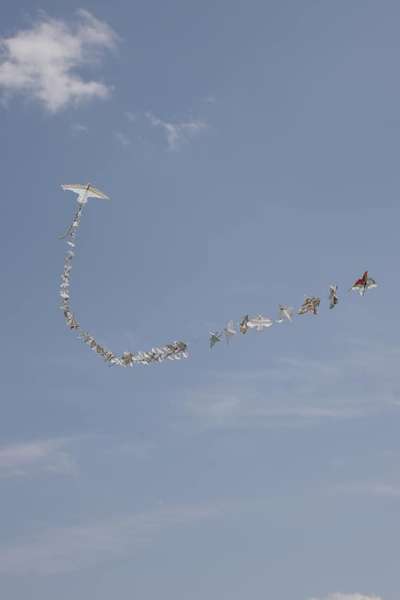 Біля Луцька в небо запускали повітряних зміїв (фото)