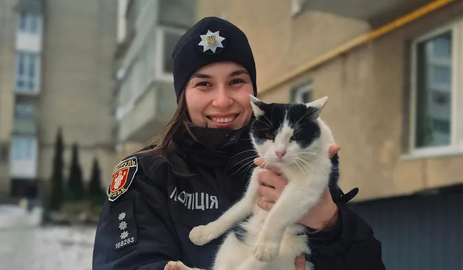 Водіїв Волині попросили перевіряти авто на наявність котиків