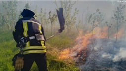 Під Луцьком чоловік болгаркою підпалив траву (фото)