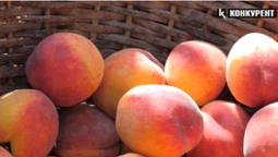 Скільки коштує на луцькому ринку лохина та персики (відео)