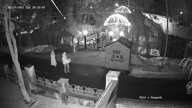 Під Луцький зоопарк підкинули цуценят (фото, відео)