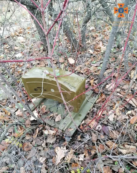 Волинські сапери показали свою «здобич» на Донеччині (фото)