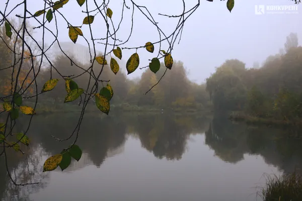Лячно, кольорово, тихо: осінь у парку 900-річчя Луцька (ФОТО)