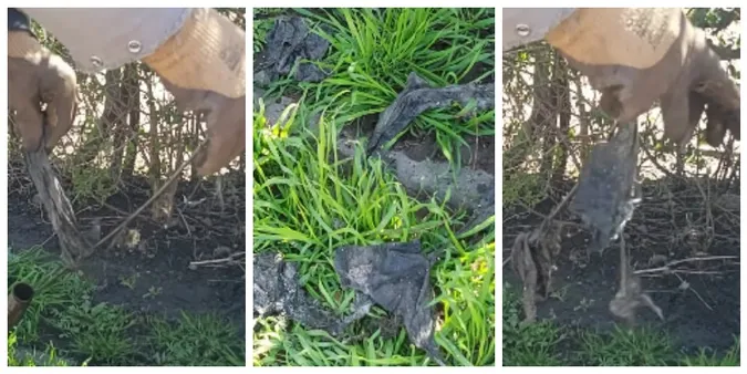 У Нововолинську показали, що містяни змивають в унітаз