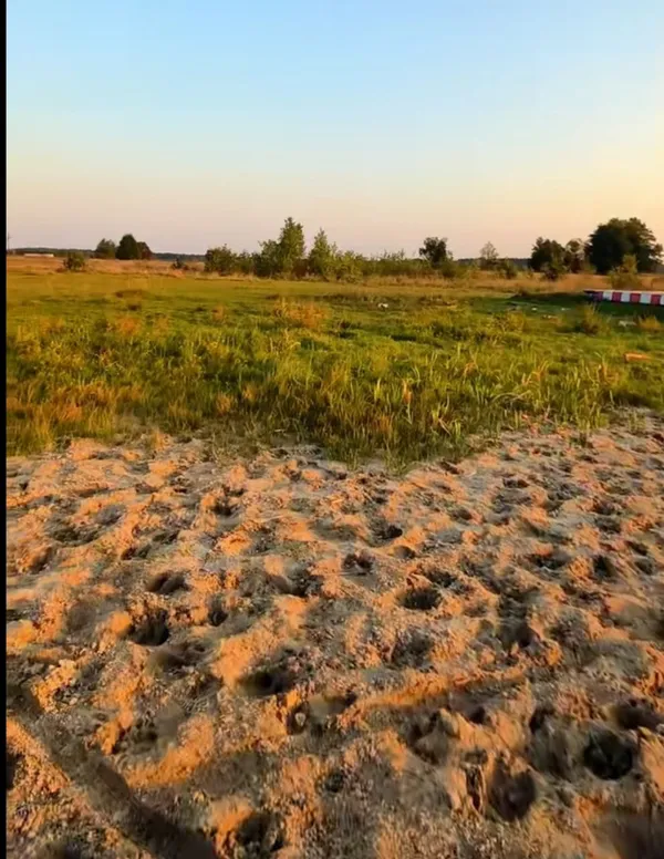 Міліє й помирає: де на Волині є озеро Веприк