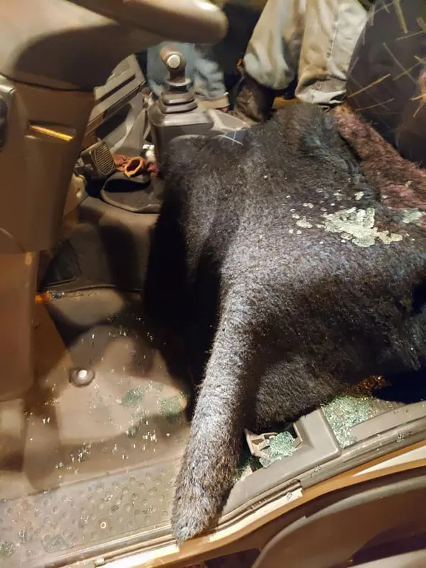 П'яні активісти і розстріляне авто: на Старому ринку в Луцьку влаштували провокації (відео, фото, оновлено)
