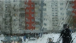 Вітер вщухне, але буде дощ: погода в Луцьку на середу, 26 лютого