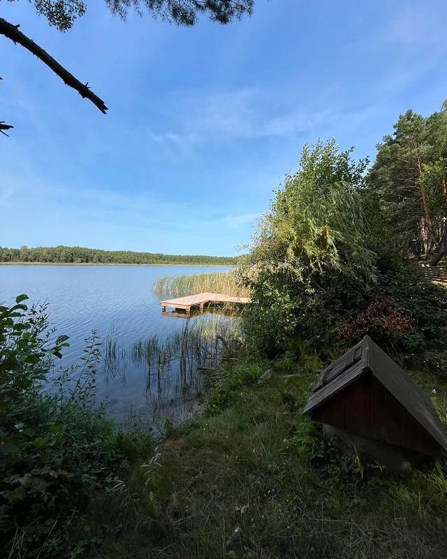 У воді – багато мінералів: на Волині є озеро, в якому повно риби (фото)