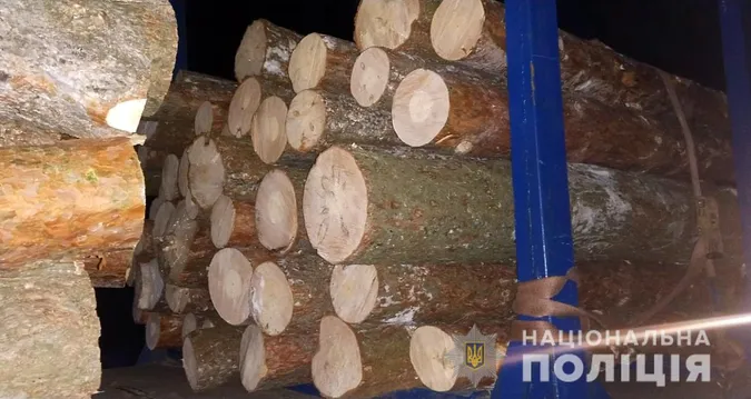 На Камінь-Каширщині впіймали чоловіка з незаконними соснами (фото)