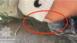 Спав у траві: у п'яного ковельчанина знайшли наркотики в шкарпетці (фото, відео)