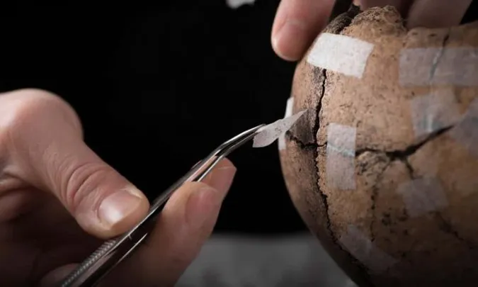 Вчені розповіли де знаходиться «люлька людства»