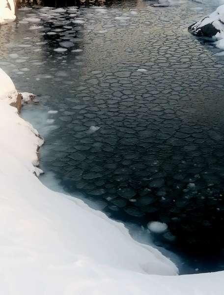 Полярники в Антарктиці натрапили на рідкісне явище: яке саме (фото)