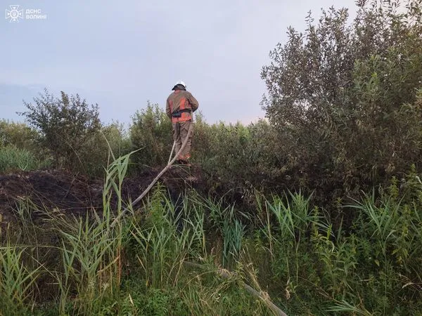 На Волині двоє пенсіонерів виявилися паліями сухої трави (фото)