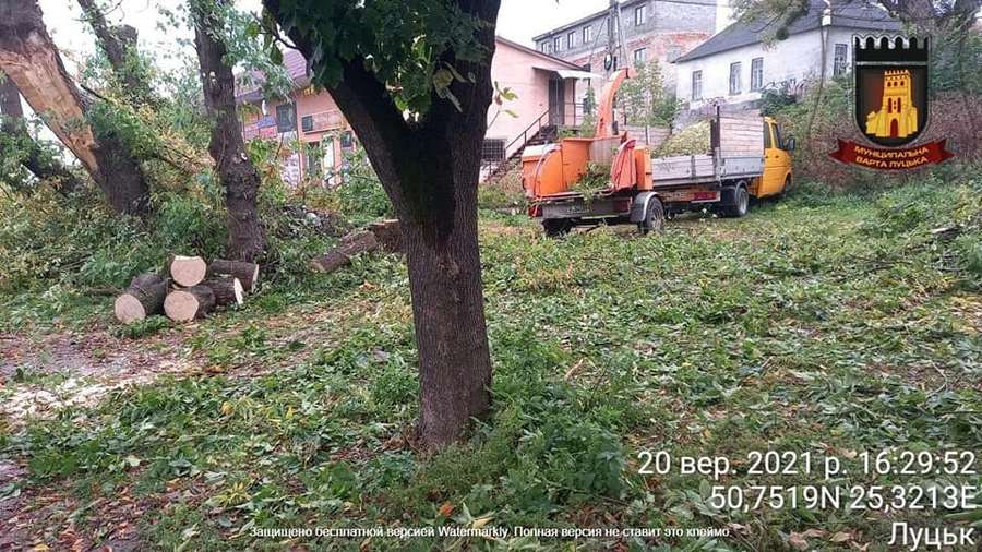 На Набережній у Луцьку самовільно порізали дерева (фото)