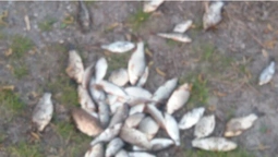На Мар’янівському водосховищі спіймали риболовів-порушників (фото)