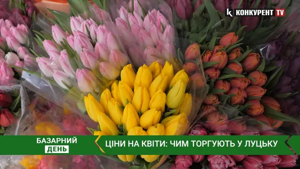 Тюльпани, хризантеми,  еустоми та троянди: скільки коштують квіти у Луцьку (відео)
