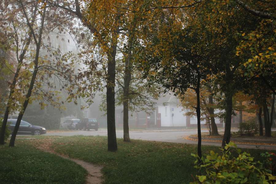Тривожний туманний ранок у Луцьку (фото)