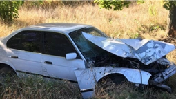 На Волині водій "BMW" влетів у дерево на узбіччі (фото)