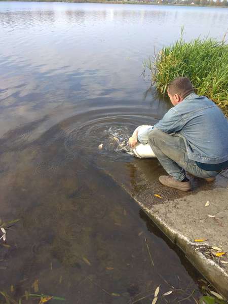 Короп, карась, білий амур: у Ковельське водосховище вселили понад тонну риби (фото, відео)