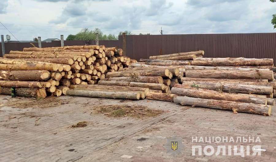 На пилорамі в Колках знайшли 15 «кубів» незаконної деревини (фото, відео)