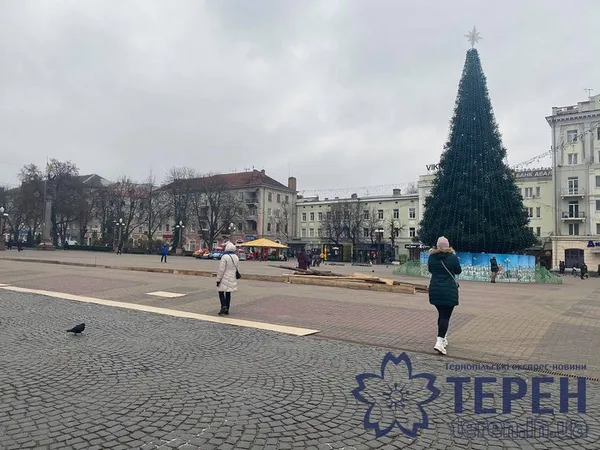 Красуні та страховиська: як виглядають 24 головні ялинки України