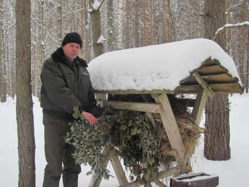 Як волинські єгері допомагають звірам пережити зиму (фото, відео)