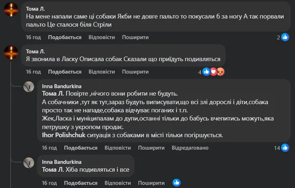 У Луцьку на ЛПЗ зграя собак покусала дитину – мешканці б'ють на сполох (фото)