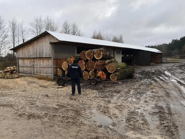 У Ковельському районі вилучили незаконну деревину