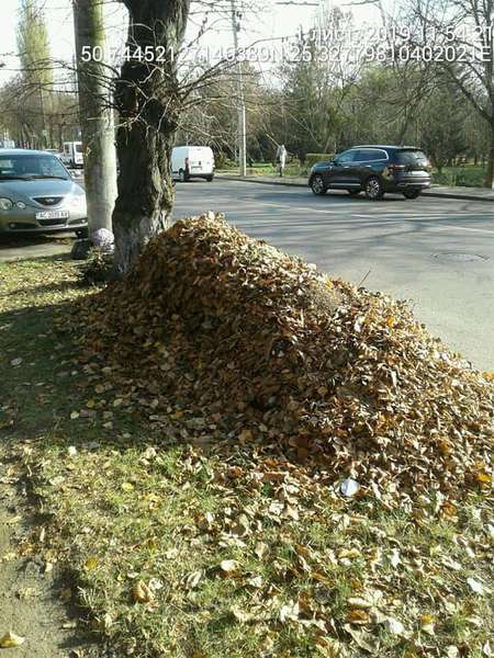 Лучан змусили поприбирати розкидане листя та будівельне сміття  (фото)