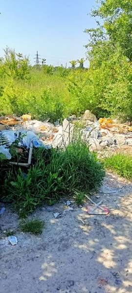 На околицях Луцька розвели стихійні сміттєзвалища (фото)