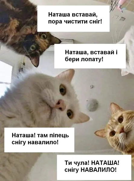 Вхурделило: як соцмережі жартують про погоду