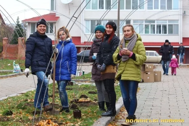На проспекті Волі у Луцьку садили алею троянд (фото)