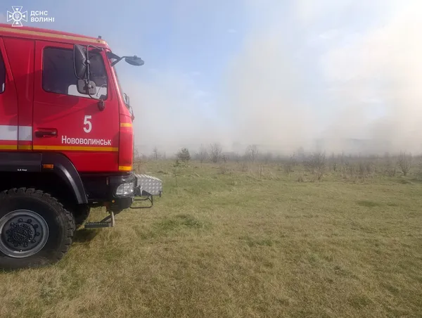 Палав очерет, торф і сміття: на Волині пожежі знищили 8 гектарів території