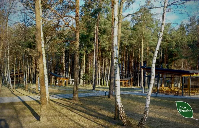 🌿Сезон шашликів на природі стартував: як чепурять пункти відпочинку на Волині (фото)
