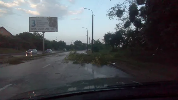 Що наробила негода в Луцьку  (фото, відео)